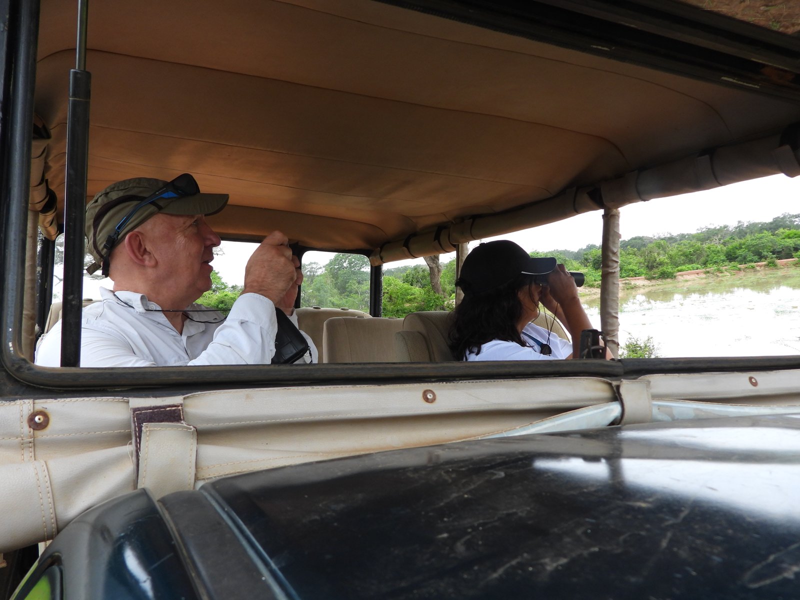 Yala Trail Safari – Unforgettable Wildlife & Jeep Safari Adventures in Yala National Park
